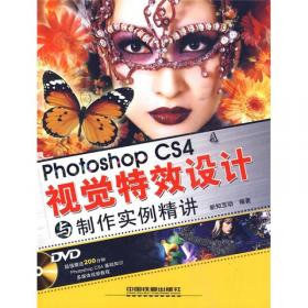 功夫：photoshop CS2文字特效实战攻略（全彩印刷）（含CD）