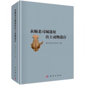 老司城遗址文物保护工程报告（全二册）