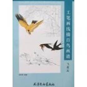 中国工笔画解析·花香鸟语：工笔花鸟画法