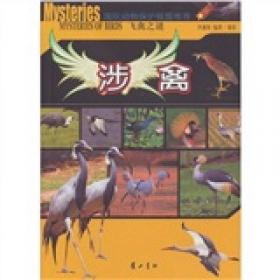 飞禽记：约翰·巴勒斯的鸟类列传