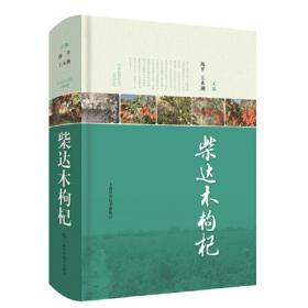柴达木盆地/中国地理百科