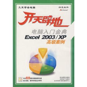 开天辟地：Excel 2007从入门到精通