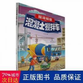 摇滚危机：20世纪90年代中国摇滚音乐研究