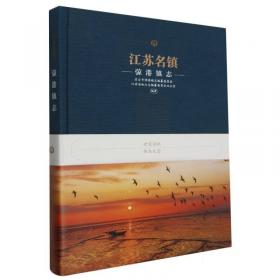 江苏省中型灌区续建配套与现代化改造规划(2021-2035)/江苏省十四五农村水利规划丛书