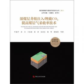 中国煤层气勘探开发技术与产业化 : 2013年煤层气学术研讨会论文集