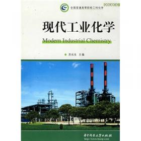 现代磷化工技术和应用（下册）