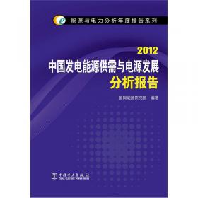 能源与电力分析年度报告系列：2012世界能源与电力发展状况分析报告