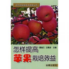 农作物种植技术管理丛书：怎样提高龙眼栽培效益