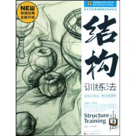 造型基础训练方法丛书·素描静物结构训练法：结构训练法（2）（黄金典藏版）
