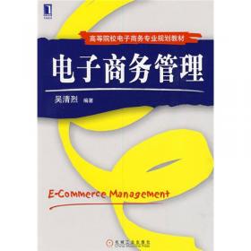 电子商务导论/21世纪高等院校电子商务精品教材