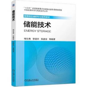 储能原理与技术/全国高等院校新能源专业规划教材，全国普通高等教育新能源类“十三五”精品规划教材