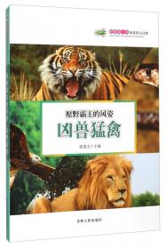 科普第一书·丛林深处的欢动：森林动物
