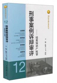 刑法分则实务丛书·刑事案例诉辩审评：贿赂罪