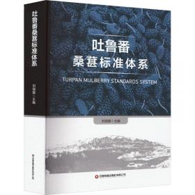 吐鲁番古代纺织品的保护与修复