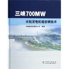 三峡700MW水轮发电机组安装技术