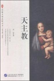 宗教文明品析丛书：中国少数民族宗教