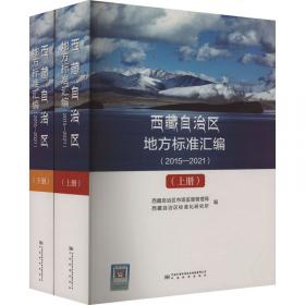 西藏社会发展调查研究