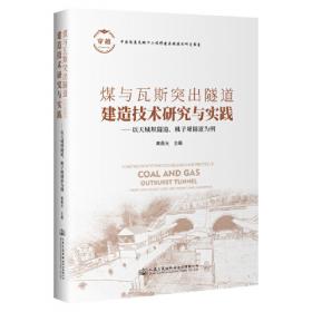 煤与瓦斯突出演化机制及消突工程应用研究