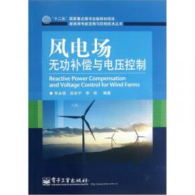 新能源与分布式发电技术(第2版)