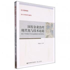 国有企业改革创新之路:唐村煤矿衰老再发展模式研究