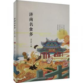 济南古城.概览篇 史学理论 编者:济南古城丛书编审委员会| 新华正版