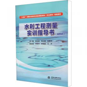 水利工程除险加固技术丛书：水闸工程除险加固技术