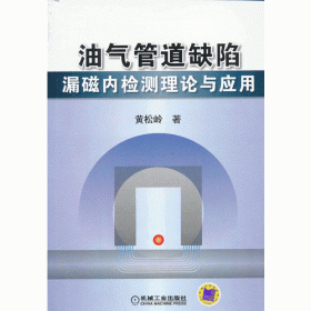 漏磁成像理论与方法/电子信息与电气工程技术丛书