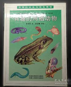 有趣的动物故事