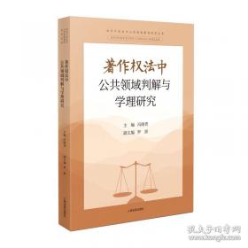 知识产权法热点问题研究