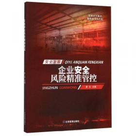 安全健康新知丛书：安全生产系统战略（第2版）