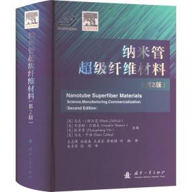 纳米数字集成电路的偏差效应分析与优化：从电路级到系统级