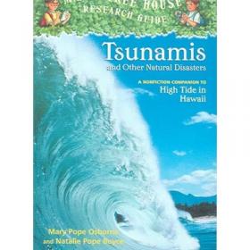 Tsunamis海啸：侦查、监测与预警技术