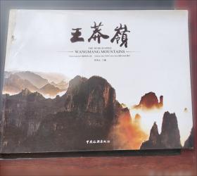 王莽：儒家理想的信徒