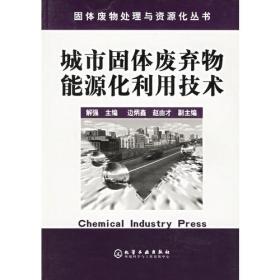 煤系固体废物资源化技术(第2版)固体废物处理与资源化丛书 