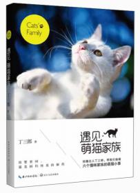 遇见·猫的国 第2季