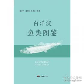 白洋淀纪事 名著阅读课程化丛书七年级上 