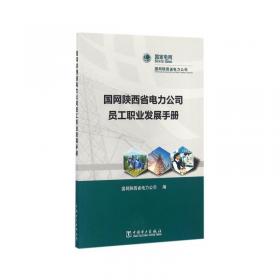 国网河南省电力公司大营销体系：服务协同机制研究