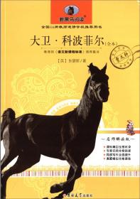 新黑马阅读：骆驼祥子（美绘本）