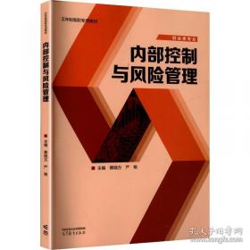 内部审计实务标准