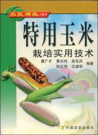 特用玉米的生产与加工——富农丛书（3）（特价/封底打有圆孔）