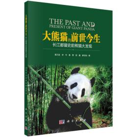 大熊猫的起源