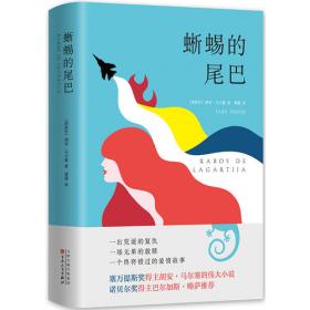 蜥蜴营销——中国营销与策划精英论坛