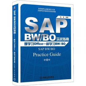 SAP BW/BO实战指南：像学习Office一样学习BW/BO