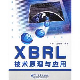 XBRL技术精解与应用