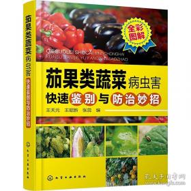 茄果类蔬菜保护地栽培技术问答