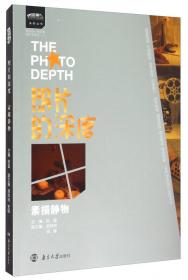 领先教学系列丛书·照片的深度：人物场景风景