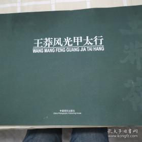 王莽：儒家理想的信徒