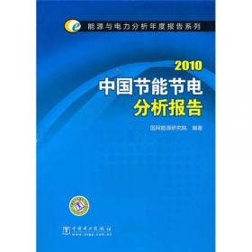能源与电力分析年度报告系列：2013中国节能节电分析报告