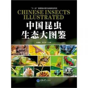 昆虫家谱：世界昆虫410科野外鉴别指南（便携版）