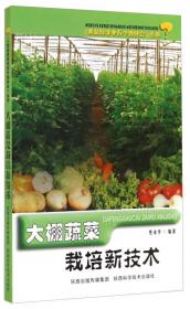 《农业软科学研究丛书（2010-2012）》之一：粮食安全与重要农产品供给